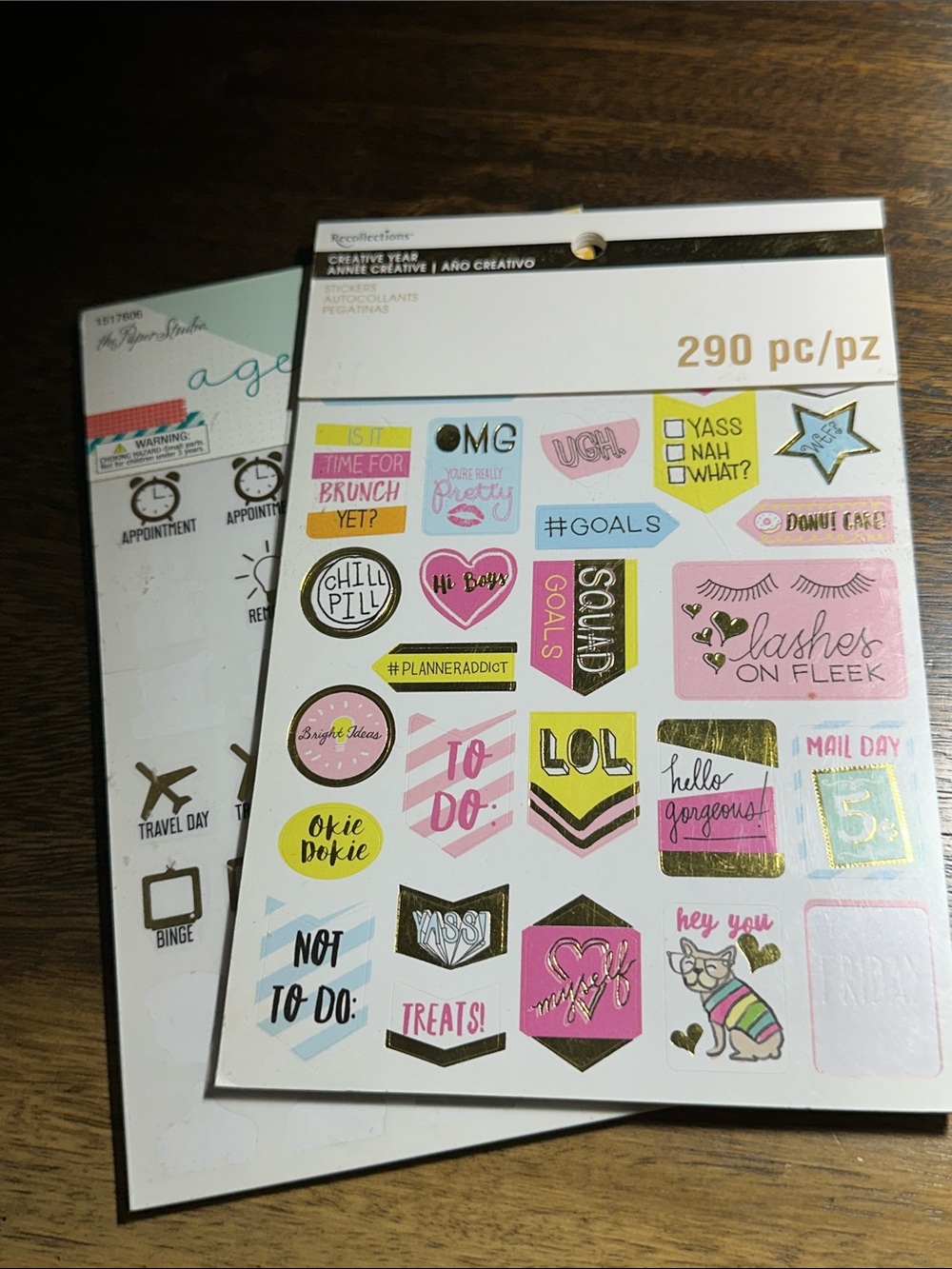 Recollections Creative Year and the paper studio 
Decorative Planner Stickers